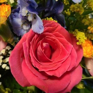 Meet your Posher, Chris